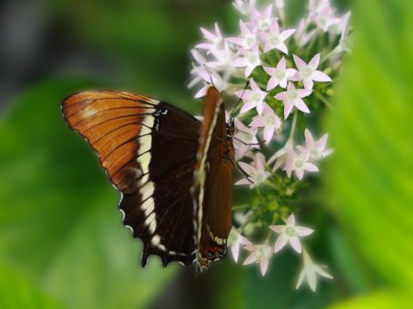 Familie & Kinder Natürliche Aufnahmen eurer Liebsten